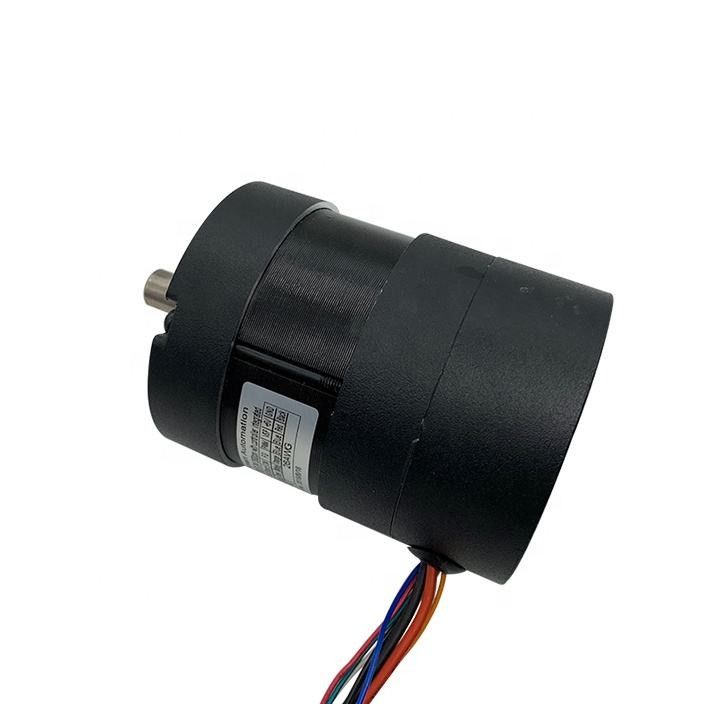 Size 80mm 80RBL 3 Phase Electric DC Brushless Motor BLDC Motor 12v 24v 36v 48v Option with Integrated Driver PWM Control