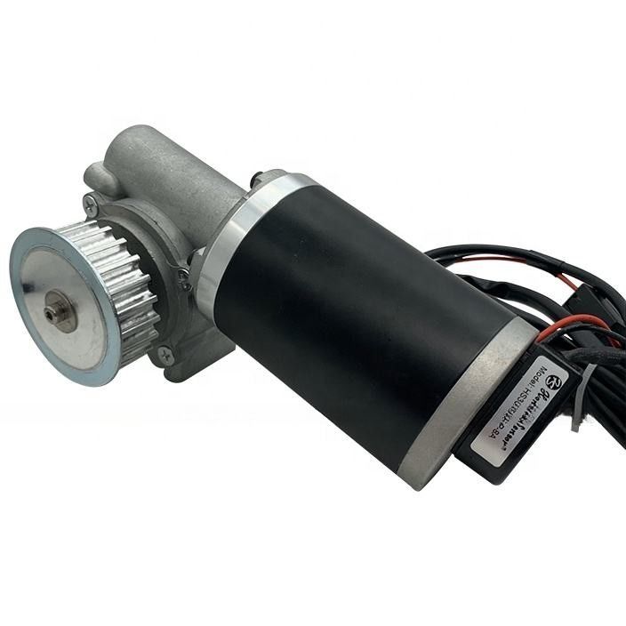 Customized Geared DC Rolling Lifting Machine Motors 12v 24v 36v 48v 60v Option with Worm and Planetary Gearbox Reducer