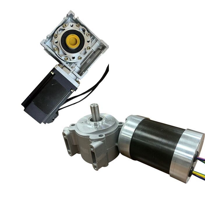 High Torque Electric Dc Machinery Motor 12v 24v 36v 48v for Industrial Agricultural Machine Equipment Tool Automation