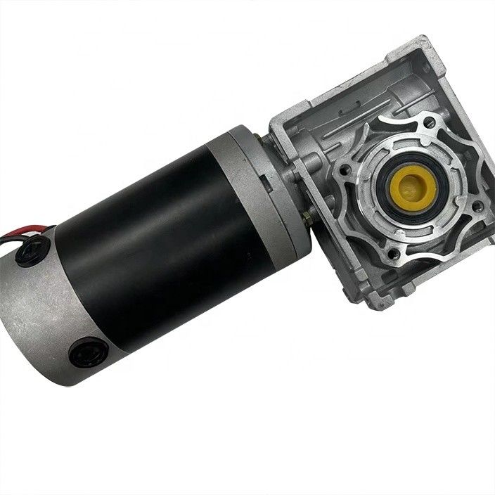 Customized Geared DC Rolling Lifting Machine Motors 12v 24v 36v 48v 60v Option with Worm and Planetary Gearbox Reducer