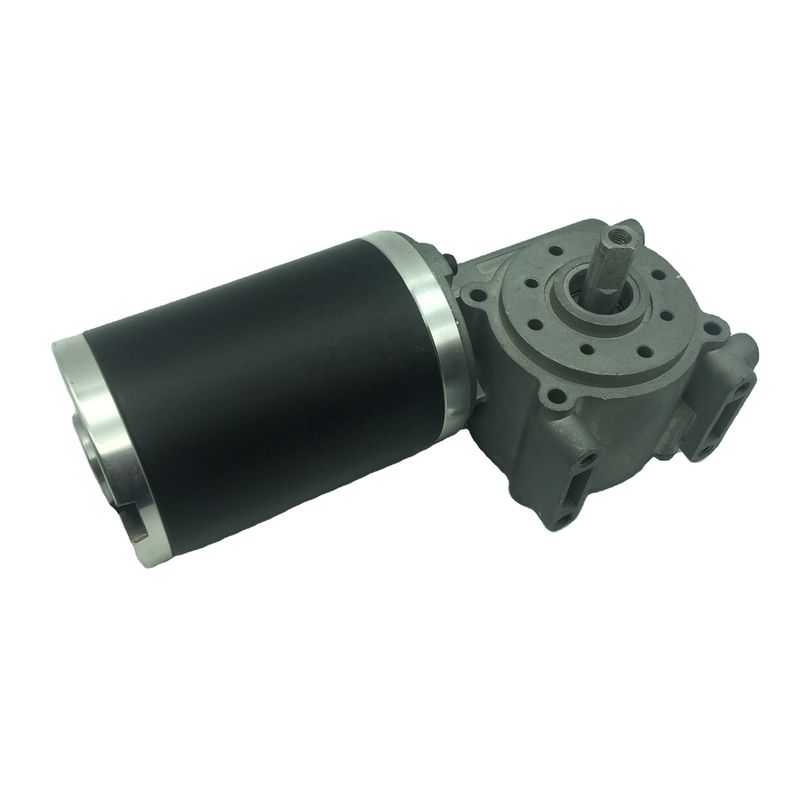 Automatic Dc Door Opener Motor 12v 24v with Worm Planetary Gearbox for Door Gates Automation Opening Lifting and Sliding