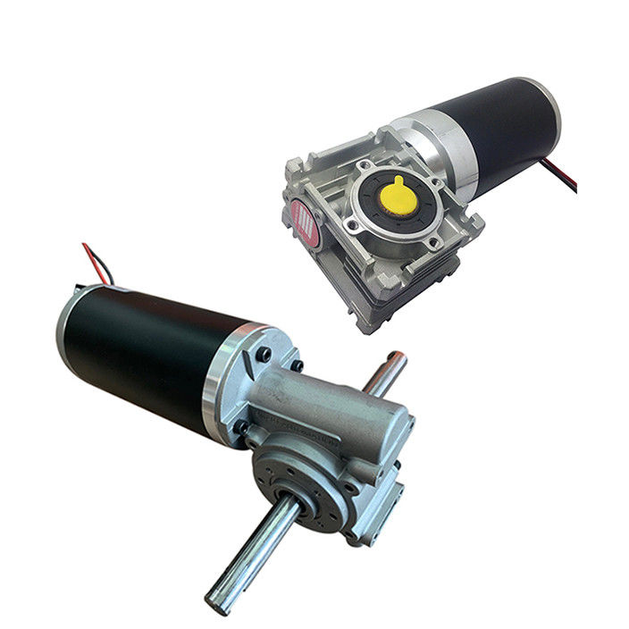 Customized Geared DC Rolling Lifting Machine Motors 12v 24v 36v 48v 60v Option with Worm and Planetary Gearbox Reducer